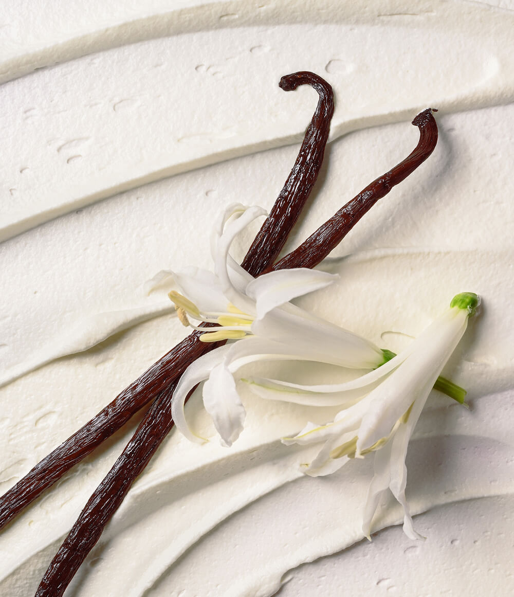 Vanilla Cashmere Scent Layering Bundle